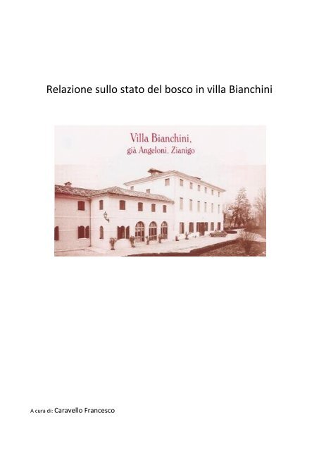 Relazione sullo stato del bosco in villa Bianchini - Comune di Mirano