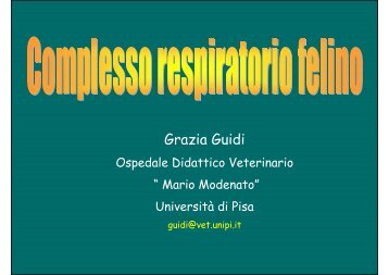 Malattie infettive nel gatto in allevamento - Anfi toscana