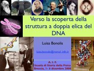 Verso la scoperta della doppia elica del DNA - Luisa Bonolis ...