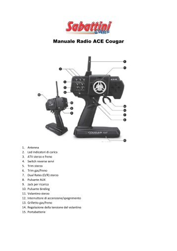 manuale radio ace cougar 3ch 2.4g - SabattiniCars