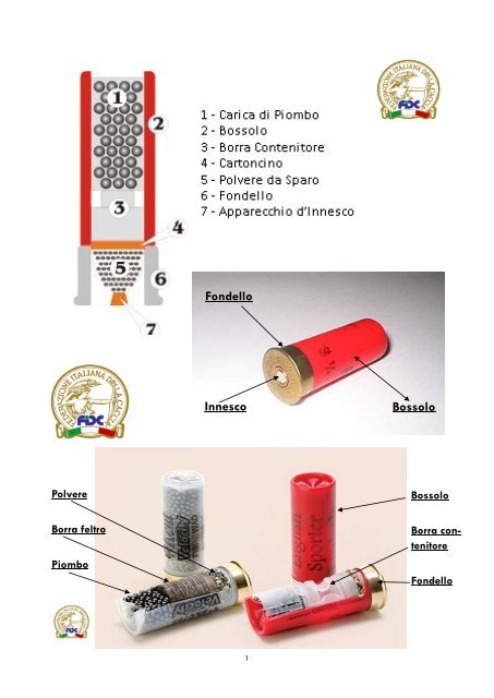 fucile e cartucce e selvaggina