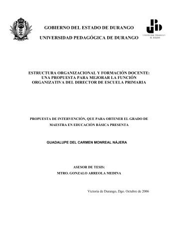 estructura organizacional y formacion docente - Universidad ...