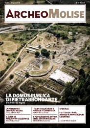 LA DOMUS PUBLICA DI PIETRABBONDANTE