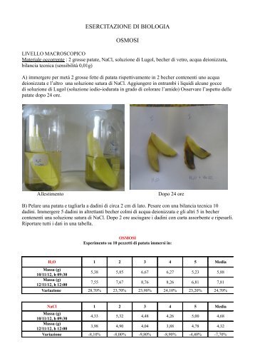 protocollo operativo esperienza sull'osmosi.pdf