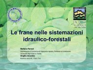 Sistemazioni idraulico-forestali a basso impatto ambientale