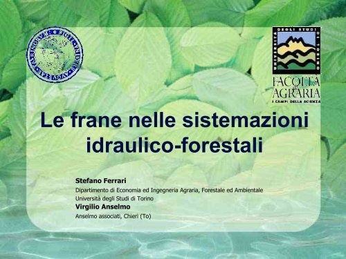 Sistemazioni idraulico-forestali a basso impatto ambientale