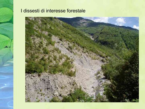 Sistemazioni idraulico-forestali a basso impatto ambientale