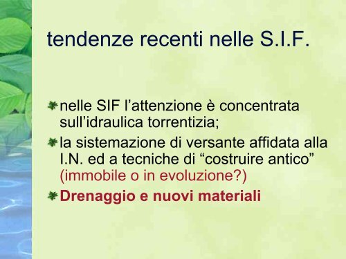 Sistemazioni idraulico-forestali a basso impatto ambientale