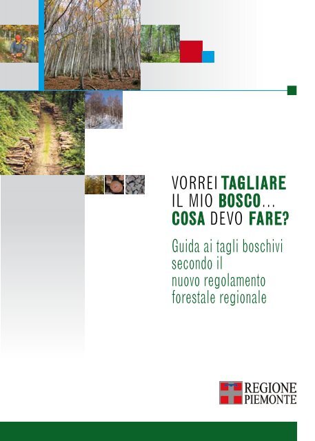 vorrei tagliare il mio bosco... cosa devo fare? - Città di Avigliana