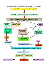 Sementi forestali Prof. G. Calamini (pdf 65k) - Facoltà di Agraria