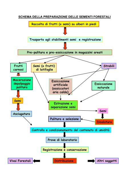 Sementi forestali Prof. G. Calamini (pdf 65k) - Facoltà di Agraria