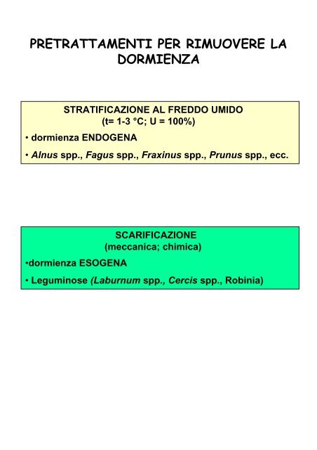 Sementi forestali Prof. G. Calamini (pdf 65k) - Facoltà di Agraria