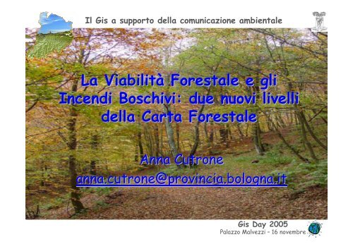 due nuovi livelli della Carta Forestale - Provincia di Bologna