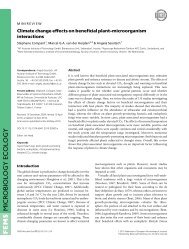 Climate change effects on beneficial plantmicroorganism interactions