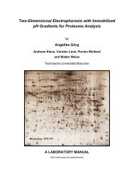 Two-Dimensional Electrophoresis with Immobilized pH Gradients for ...