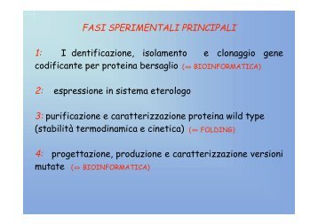 FASI SPERIMENTALI PRINCIPALI 1: I ... - Biocomputing.it