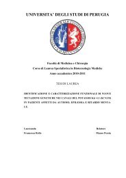 TESI - Comune di Mesagne