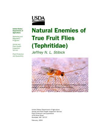 Natural Enemies of True Fruit Flies (Tephritidae) - USDA - aphis