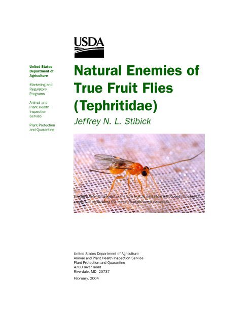 Natural Enemies of True Fruit Flies (Tephritidae) - USDA - aphis