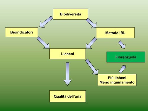 Visualizza la presentazione