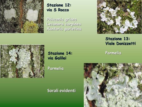 Visualizza la presentazione