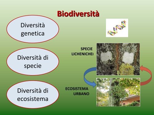 Visualizza la presentazione