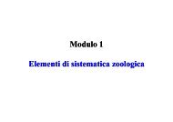 003_Elementi di sistematica zoologica - Dipartimento di Gestione ...