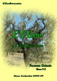 tesina olivo Facenna con copertina - ITAS Di Sangro e ITG alberti ...