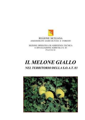 IL MELONE GIALLO - Portale dell'innovazione - Regione Siciliana