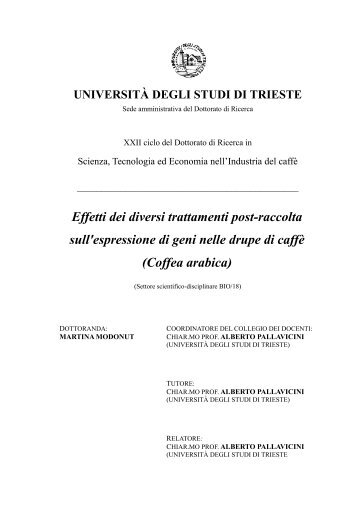 Coffea arabica - OpenstarTs - Università degli Studi di Trieste