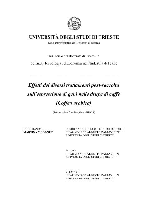 macchina per la torrefazione del caffè verde di gene cafe