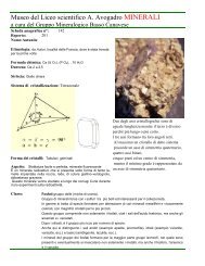 Autunnite Fosfato prov Cuneo scheda n 142.pdf