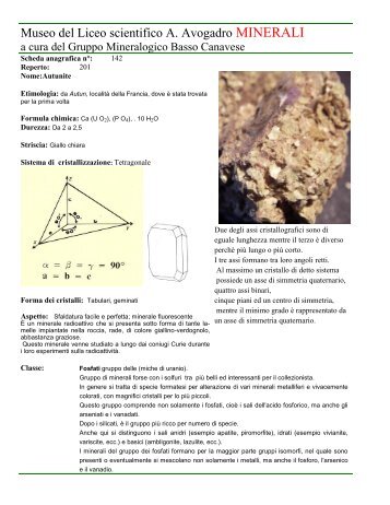 Autunnite Fosfato prov Cuneo scheda n 142.pdf