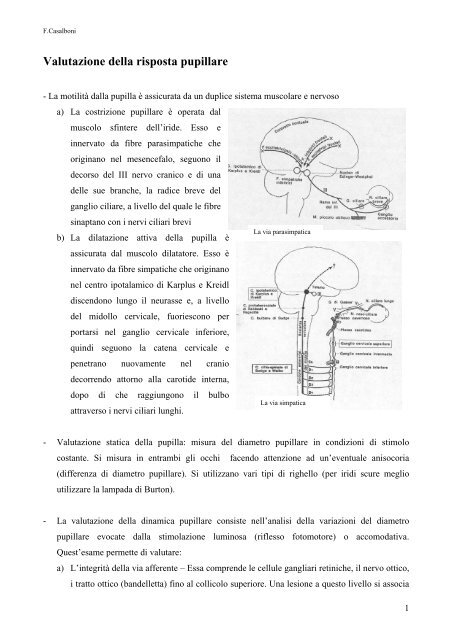 Valutazione della risposta pupillare - Occhioweb.It