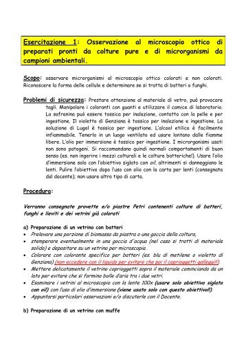 Esercitazione 1: Osservazione al microscopio ottico di preparati ...