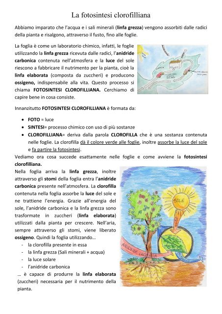 La fotosintesi clorofilliana.pdf - Maestra Raffaella