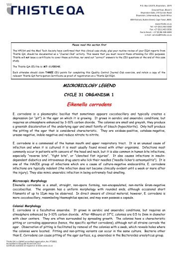 Cycle 31 Organism 1 - Eikenella corrodens - Thistle QA