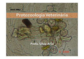Isospora - Ufersa