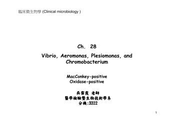 Ch. 28 Vibrio, Aeromonas, Plesiomonas, and Chromobacterium ...