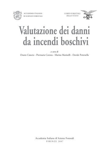 Valutazione dei danni da incendi boschivi - Accademia Italiana di ...