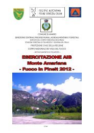 documento impianto Amariana2012 - Protezione Civile