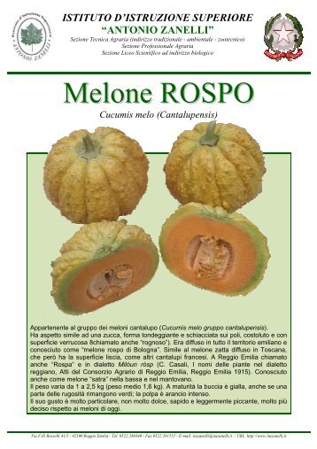 Melone ROSPO - Antonio Zanelli