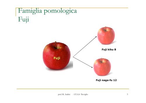 MELO seconda parte.pdf - prof. R. Andrei - appunti di agraria