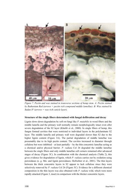 Properties of hemp fibre polymer composites -An optimisation of ...