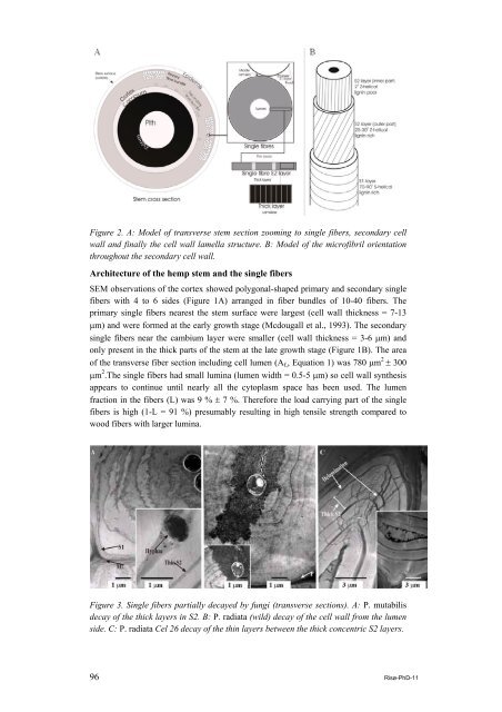 Properties of hemp fibre polymer composites -An optimisation of ...