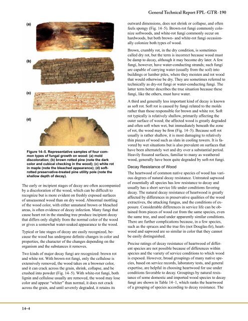 Biodeterioration of Wood - Forest Products Laboratory