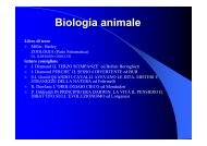 lezioni biologia animale 1-4.pdf - DISAT