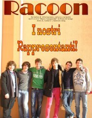 racoon-archivio-Gennaio-2009