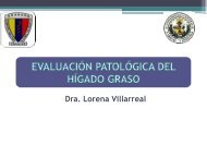 Evaluación patológica del hígado graso - Pathos.es