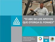 El ABC de los apoyos que otorga FONAES RO 2011 - Secretaría de ...